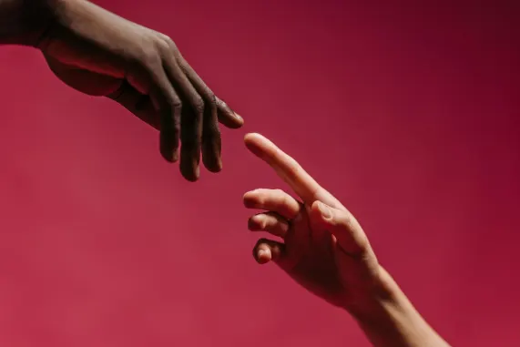 Cazino Maxi Play Cazinou Suport